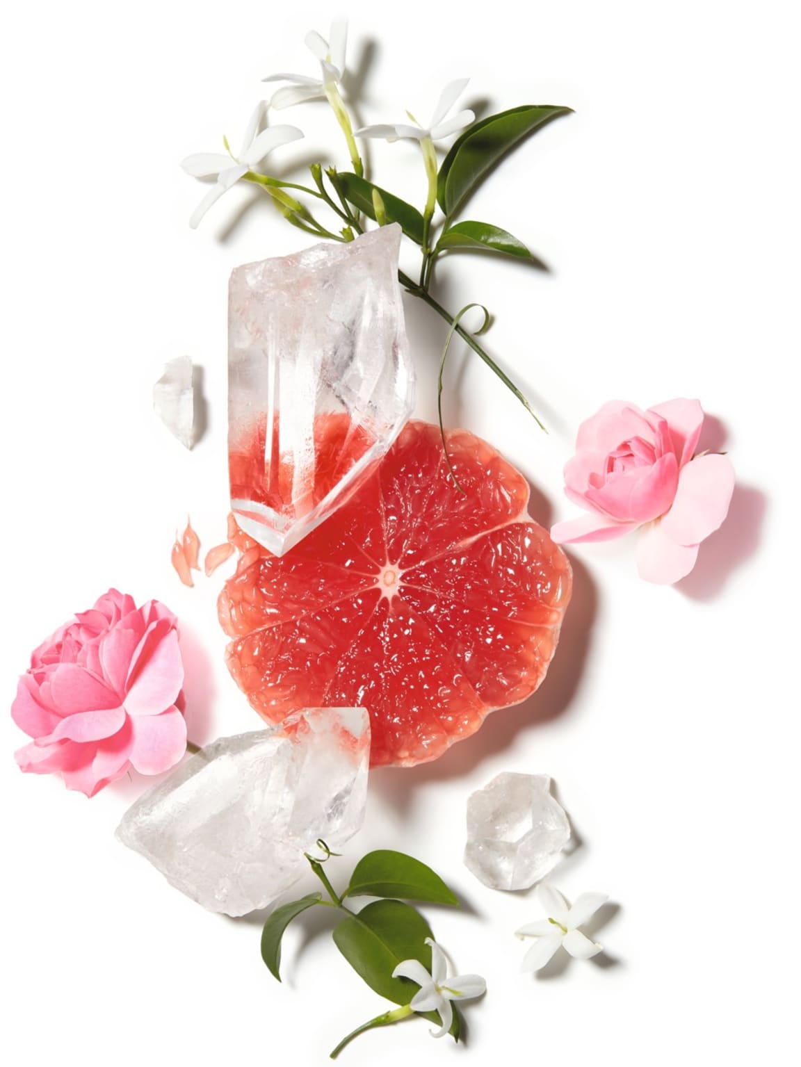 Chanel Chance Perfume Notes 2024 favors